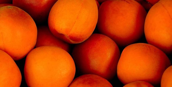 film-fruit-apricot