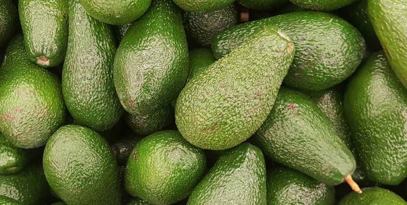 film-fruit-avocado