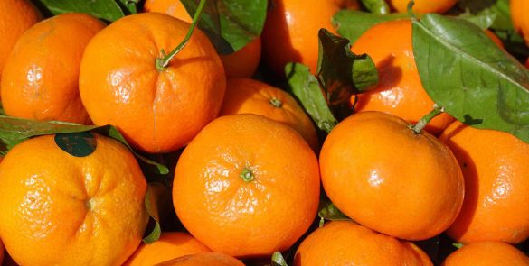 film-fruit-clementines